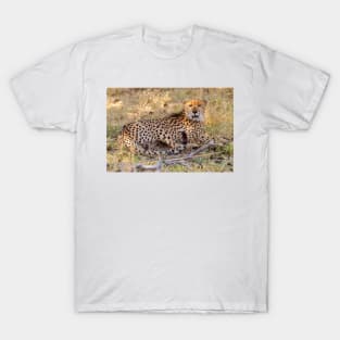 Panting Cheetah Resting in the Shade T-Shirt